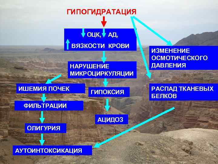 ГИПОГИДРАТАЦИЯ ОЦК, АД, ВЯЗКОСТИ КРОВИ НАРУШЕНИЕ МИКРОЦИРКУЛЯЦИИ ИШЕМИЯ ПОЧЕК ГИПОКСИЯ ФИЛЬТРАЦИИ АЦИДОЗ ОЛИГУРИЯ АУТОИНТОКСИКАЦИЯ