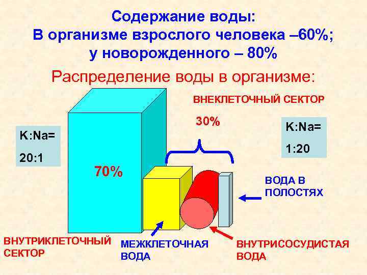 Содержание воды: В организме взрослого человека – 60%; у новорожденного – 80% Распределение воды