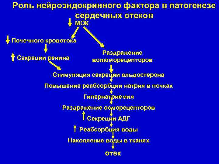 Роль нейроэндокринного фактора в патогенезе сердечных отеков МОК Почечного кровотока Секреции ренина Раздражение волюморецепторов