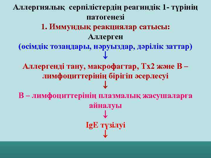 Аллергиялық серпілістердің реагиндік 1 - түрінің патогенезі 1. Иммундық реакциялар сатысы: Аллерген (өсімдік тозаңдары,