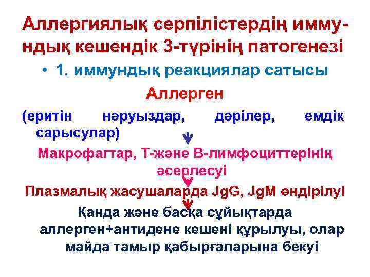 Аллергиялық серпілістердің иммундық кешендік 3 -түрінің патогенезі • 1. иммундық реакциялар сатысы Аллерген (еритін