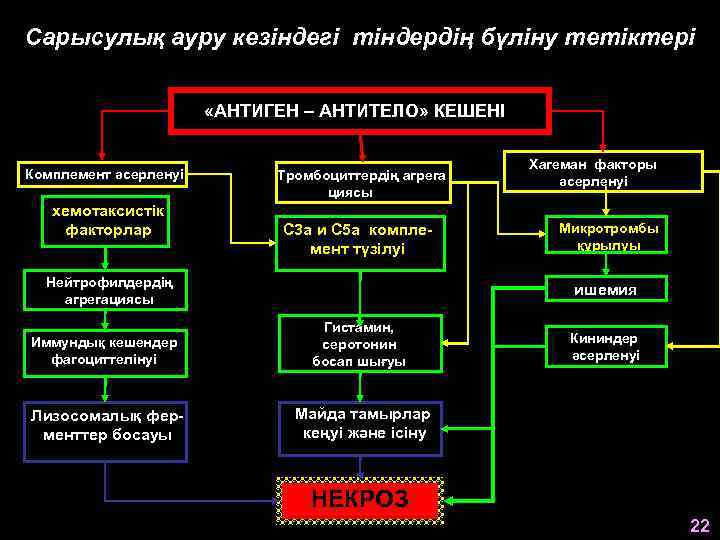 Сарысулық ауру кезіндегі тіндердің бүліну тетіктері «АНТИГЕН – АНТИТЕЛО» КЕШЕНІ Комплемент әсерленуі хемотаксистік факторлар