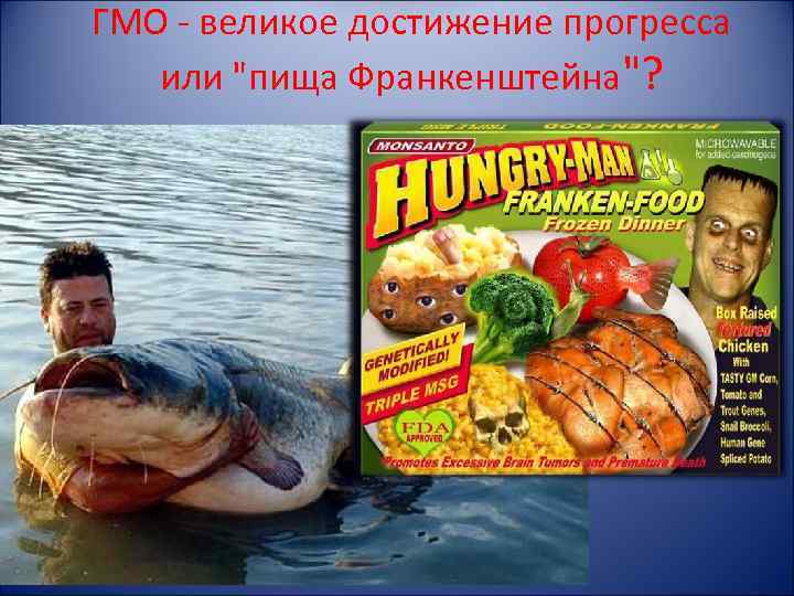 ГМО - великое достижение прогресса или 