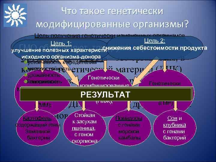 Что такое генетически модифицированные организмы? Цель получения генетически измененных организмов Цель 2: Цель 1: