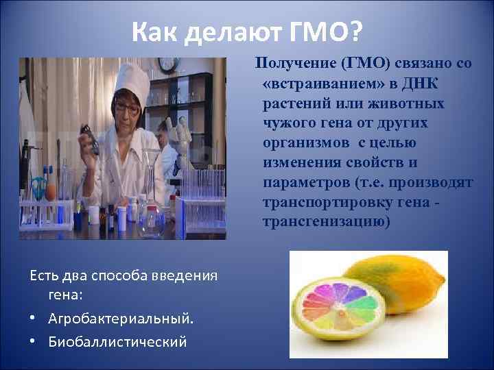 Как делают ГМО? Получение (ГМО) связано со «встраиванием» в ДНК растений или животных чужого