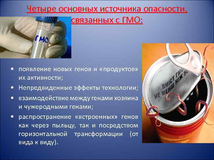 Четыре основных источника опасности, связанных с ГМО: • появление новых генов и «продуктов» их