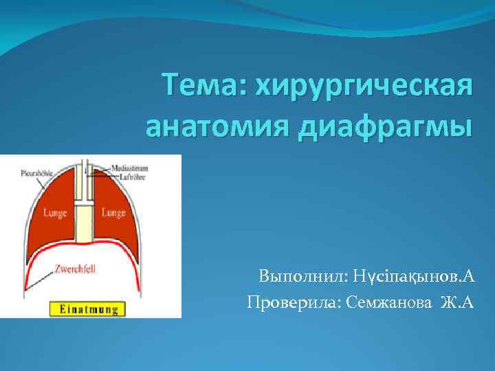 Тема: хирургическая анатомия диафрагмы Выполнил: Нүсіпақынов. А Проверила: Семжанова Ж. А 
