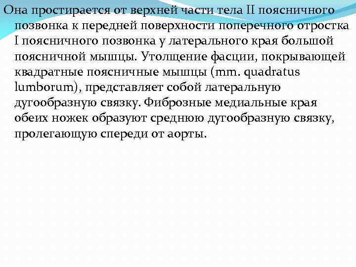 Она простирается от верхней части тела II поясничного позвонка к передней поверхности поперечного отростка