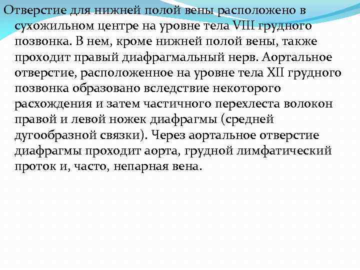 Отверстие для нижней полой вены расположено в сухожильном центре на уровне тела VIII грудного