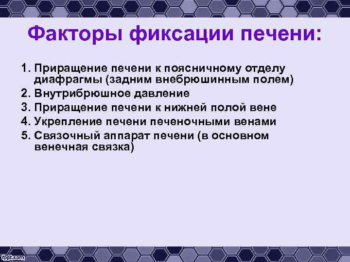 Факторы фиксации печени: 1. Приращение печени к поясничному отделу диафрагмы (задним внебрюшинным полем) 2.