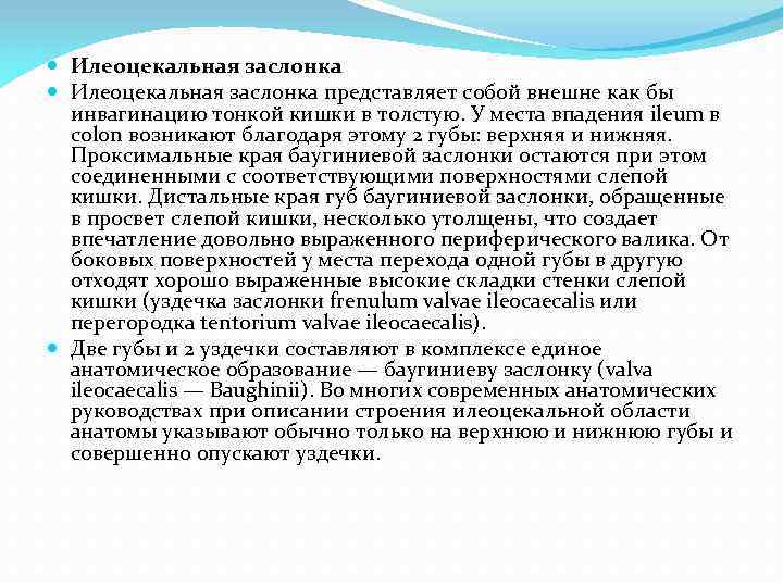  Илеоцекальная заслонка представляет собой внешне как бы инвагинацию тонкой кишки в толстую. У
