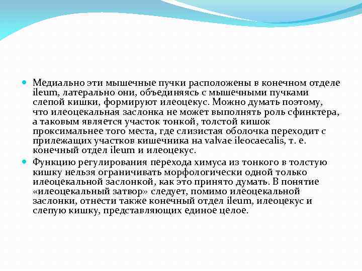 Медиально эти мышечные пучки расположены в конечном отделе ileum, латерально они, объединяясь с