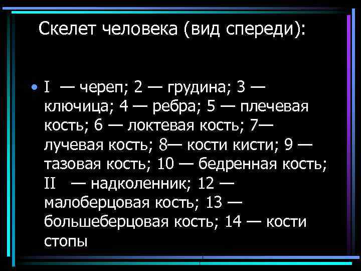 Скелет человека (вид спереди): • I — череп; 2 — грудина; 3 — ключица;