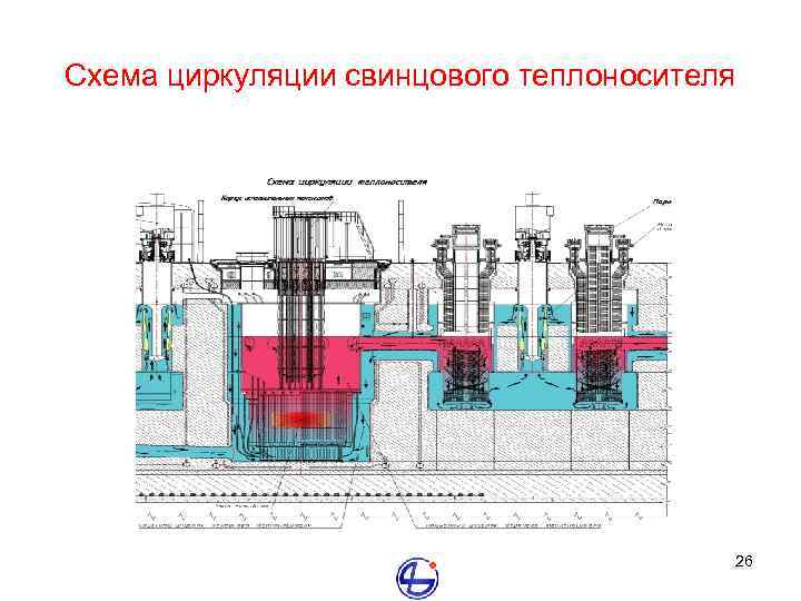 Схема циркуляции свинцового теплоносителя 26 