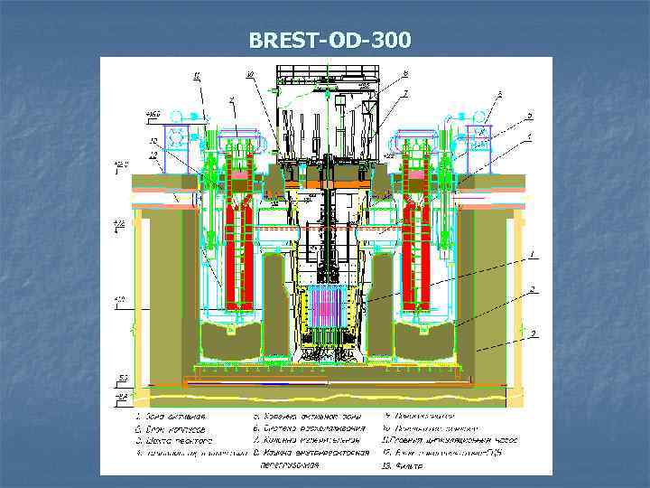 BREST-OD-300 