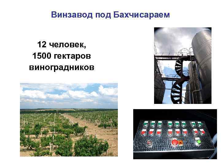 Винзавод под Бахчисараем 12 человек, 1500 гектаров виноградников 