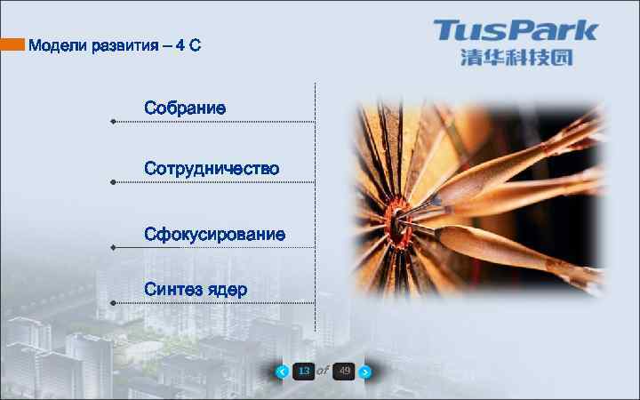 Модели развития – 4 С Собрание Сотрудничество Сфокусирование Синтез ядер 13 of 49 
