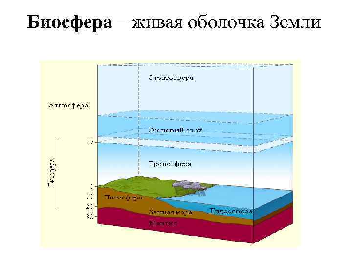 Биосфера – живая оболочка Земли 