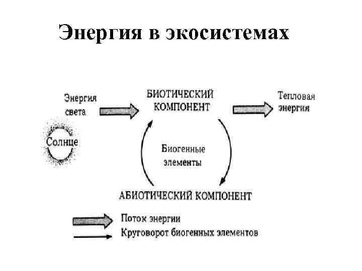 Схема потока энергии