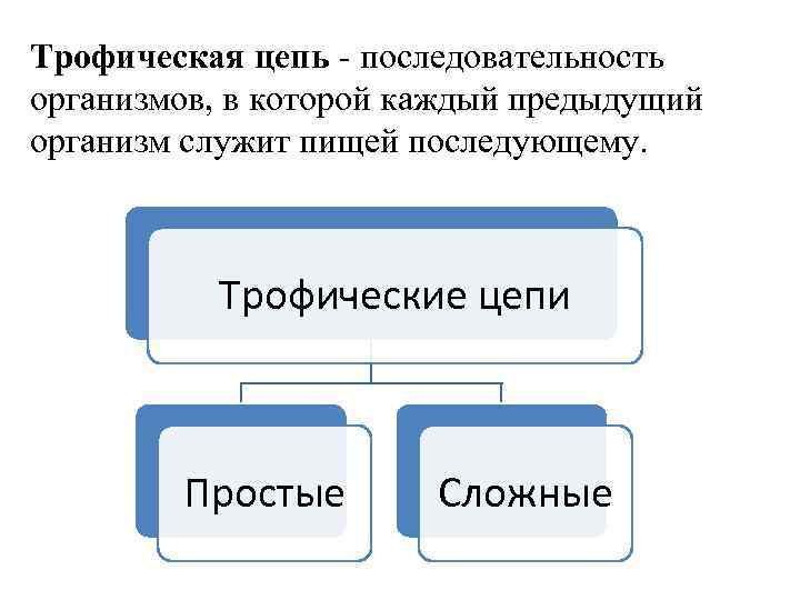 Порядок организмов. Последовательность организмов. Цепочка последовательности. Последовательность цепи. В цемь последовательность.