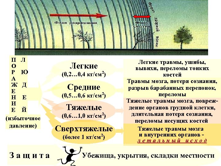 П Л О Р Ю А Ж Д Е Н Е И Е Й