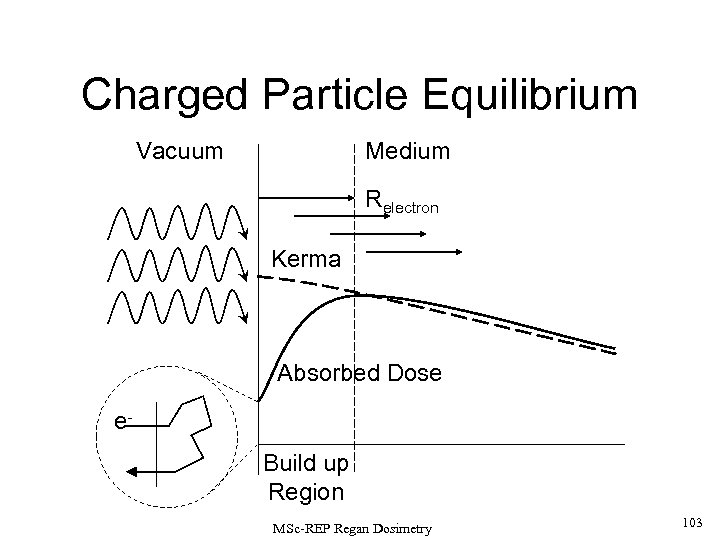 Charged Particle Equilibrium Vacuum Medium Relectron Kerma Absorbed Dose e. Build up Region MSc-REP