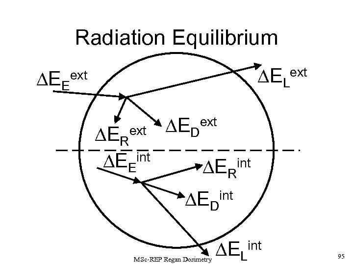 Radiation Equilibrium EE ELext ERext EEint EDext ERint EDint MSc-REP Regan Dosimetry ELint 95