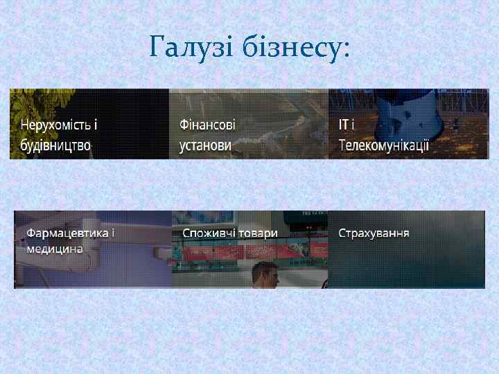 Галузі бізнесу: 