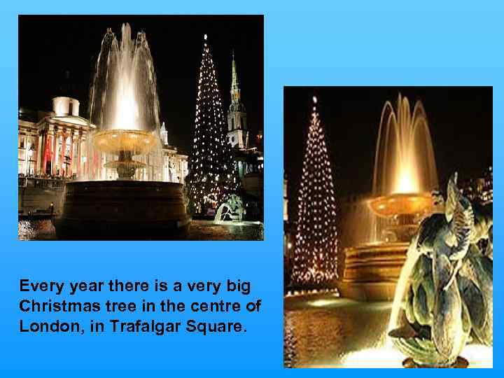 Every year there is a very big Christmas tree in the centre of London,