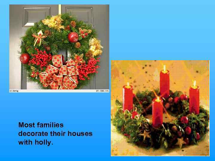 Most families decorate their houses with holly. 