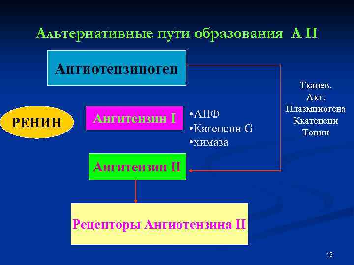 Альтернативные пути образования A II Ангиотензиноген РЕНИН Ангитензин I • АПФ • Катепсин G