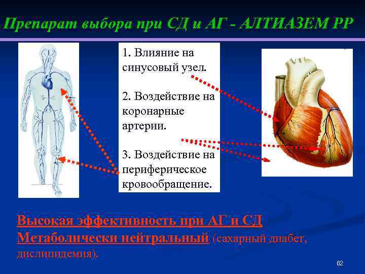 Препарат выбора при СД и АГ - АЛТИАЗЕМ РР 1. Влияние на синусовый узел.