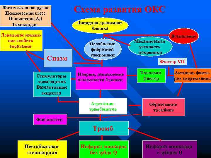 Развитие острого коронарного синдрома. Факторы развития острого коронарного синдрома:. Острый коронарный синдром презентация. Развитие Окс. Неблагоприятный фон для развития острого коронарного синдрома.