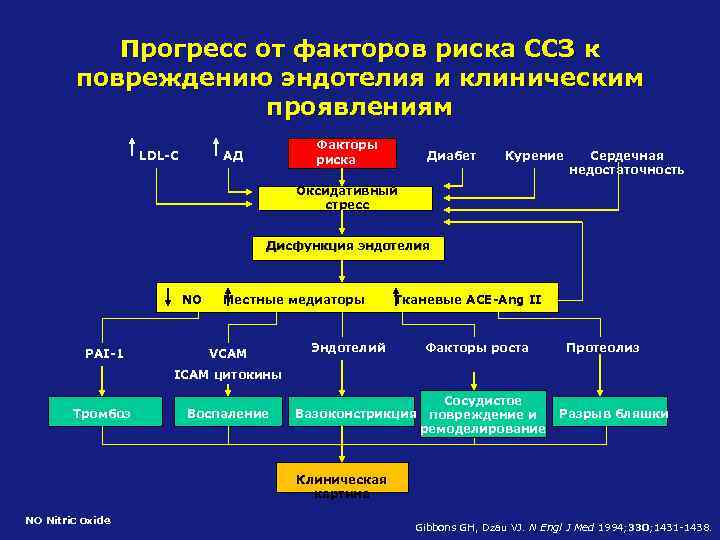 Прогресс от факторов риска ССЗ к повреждению эндотелия и клиническим проявлениям LDL-C Факторы риска