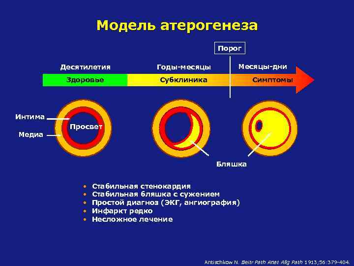 Модель атерогенеза Порог Десятилетия Годы-месяцы Здоровье Месяцы-дни Субклиника Симптомы Интима Медиа Просвет Бляшка •