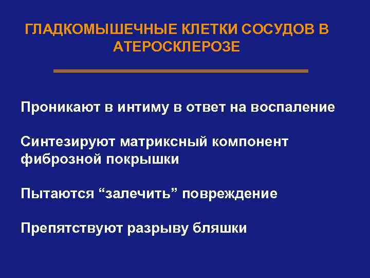 ГЛАДКОМЫШЕЧНЫЕ КЛЕТКИ СОСУДОВ В АТЕРОСКЛЕРОЗЕ Проникают в интиму в ответ на воспаление Синтезируют матриксный