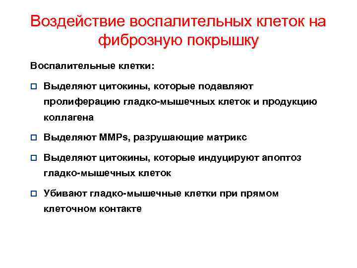 Воздействие воспалительных клеток на фиброзную покрышку Воспалительные клетки: o Выделяют цитокины, которые подавляют пролиферацию