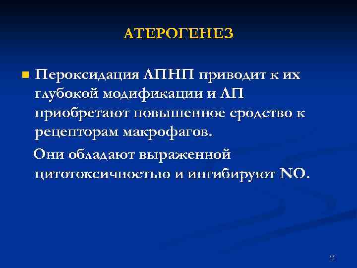 АТЕРОГЕНЕЗ n Пероксидация ЛПНП приводит к их глубокой модификации и ЛП приобретают повышенное сродство