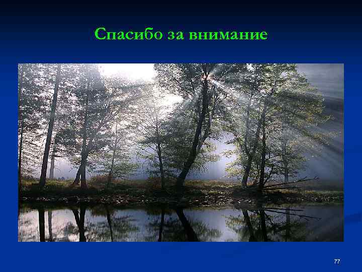 Спасибо за внимание 77 