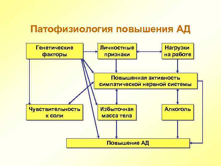 Патофизиология повышения АД Генетические факторы Личностные признаки Нагрузки на работе Повышенная активность симпатической нервной