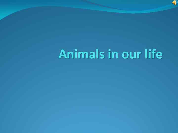 Animals in our life 