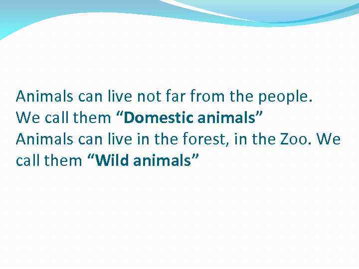 Animals can live not far from the people. We call them “Domestic animals” Animals