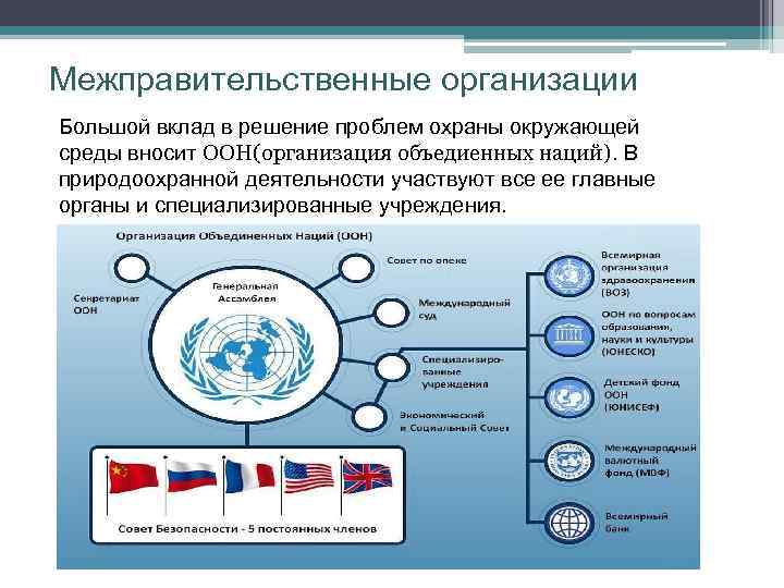 Межправительственные организации Большой вклад в решение проблем охраны окружающей среды вносит ООН(организация объедиенных наций).