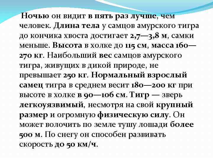 Ночью он видит в пять раз лучше, чем человек. Длина тела у самцов амурского