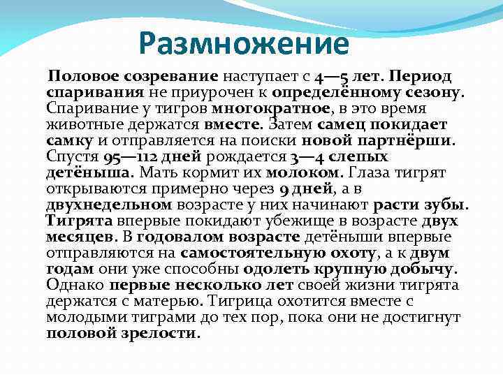 Размножение Половое созревание наступает с 4— 5 лет. Период спаривания не приурочен к определённому