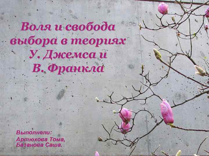 Воля и свобода выбора в теориях У. Джемса и В. Франкла Выполнели: Артюхова Тома,