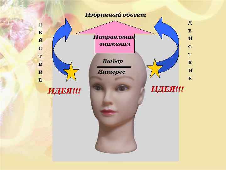 Избранный объект Д Д Е Е Направление внимания Й С Т Т Выбор В