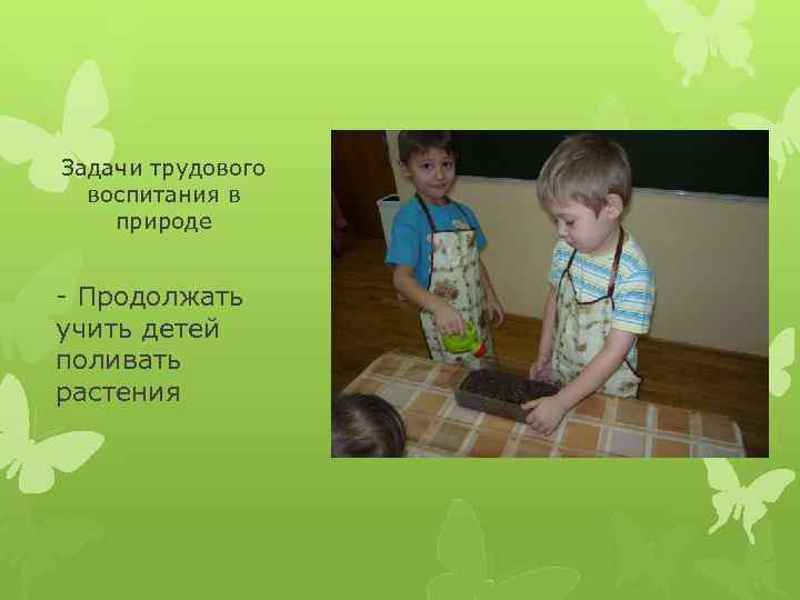 Задачи трудового воспитания в природе - Продолжать учить детей поливать растения 