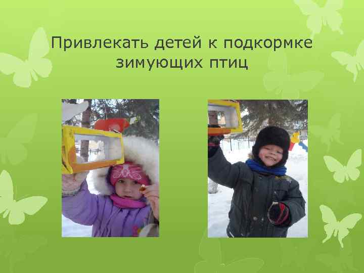 Привлекать детей к подкормке зимующих птиц 