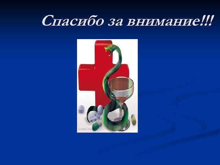 Спасибо за внимание!!! 